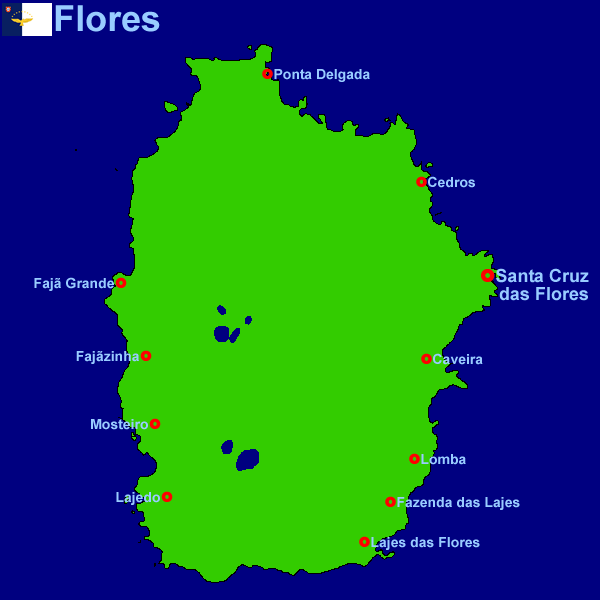 Flores (13Kb)