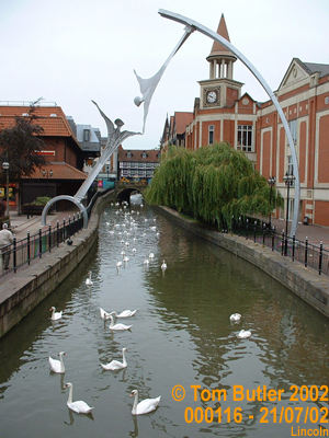 Photo ID: 000116, Swans and Art on the River Witham, Lincoln, England