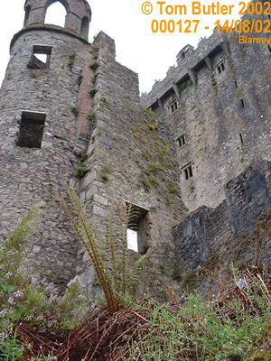 Photo ID: 000127, More Ruins at Blarney Castle, Blarney, Ireland