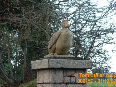Photo ID: 000157, Durrel wildlife trust, Jersey zoo, Near Trinity, Jersey