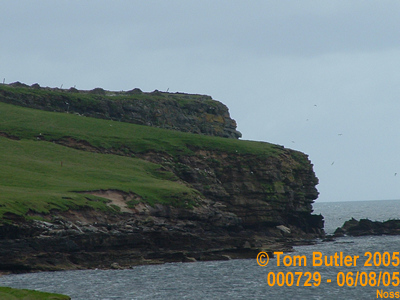 Photo ID: 000729, The bird cliffs on Noss, Noss, Shetland Islands