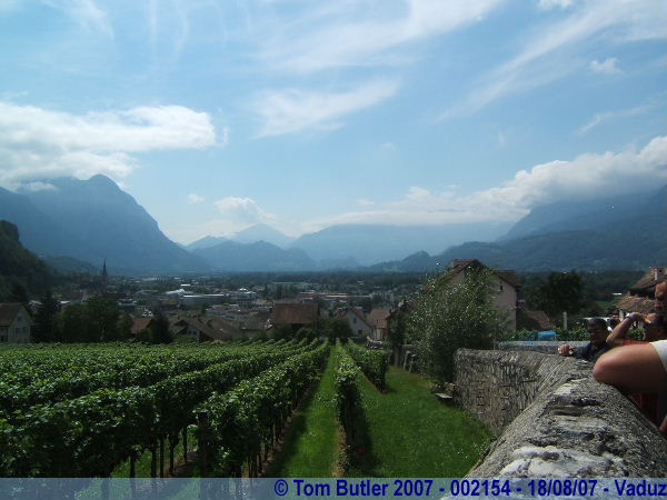 Photo ID: 002154, The vineyards, and the neighbour, Vaduz, Liechtenstein