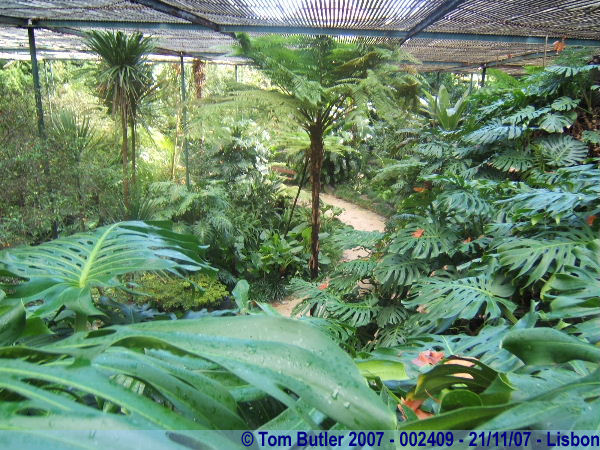 Photo ID: 002409, Inside the Botanical Gardens, Lisbon, Portugal
