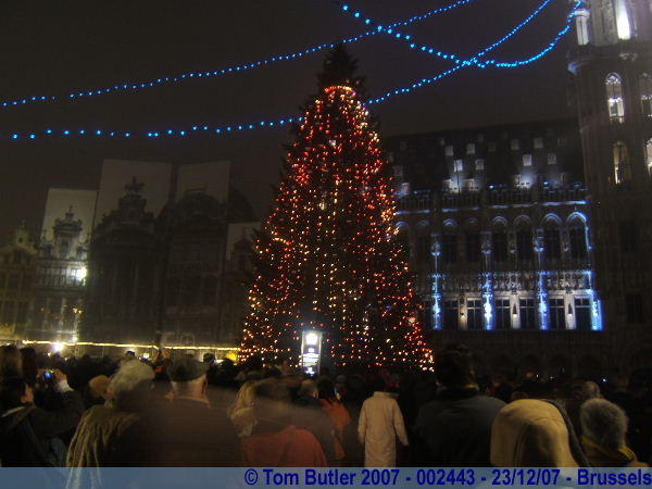 Photo ID: 002443, The Christmas tree in the Grand Place, Brussels, Belgium