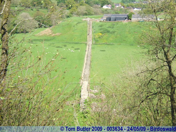 Photo ID: 003634, The wall continues towards Carvoran, Birdoswald, England
