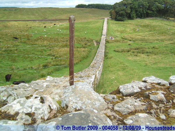 Photo ID: 004058, Hadrian's Wall meeting Housesteads fort, Housesteads, England