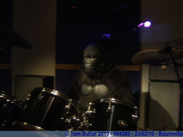 Photo ID: 004389, Drumming Gorilla, Bournville, England