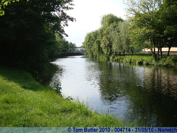 Photo ID: 004714, Looking up the river Wensum, Norwich, England