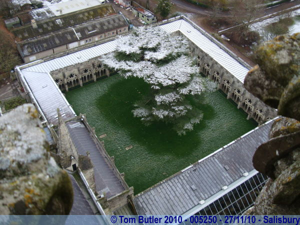 Photo ID: 005250, Looking down into the Cloister, Salisbury, England