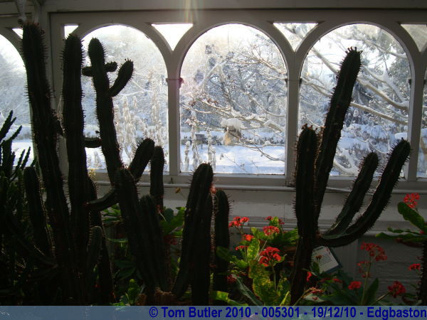 Photo ID: 005301, Inside the Arid house looking out to the Arctic outside, Birmingham, England