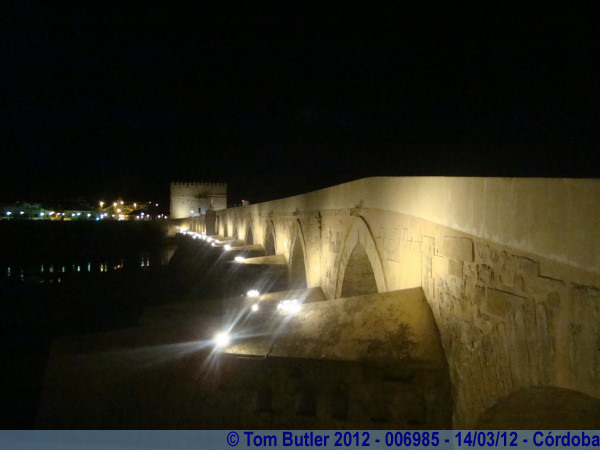 Photo ID: 006985, The Roman bridge at night, Crdoba, Spain