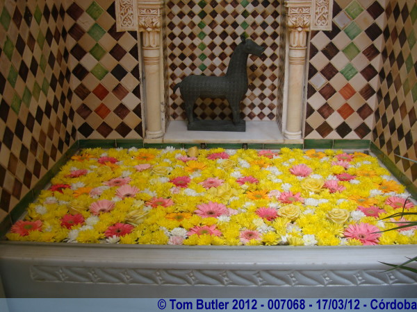 Photo ID: 007068, Flowers in a bath, Crdoba, Spain