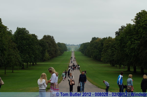 Photo ID: 008028, The Long walk, Windsor, England