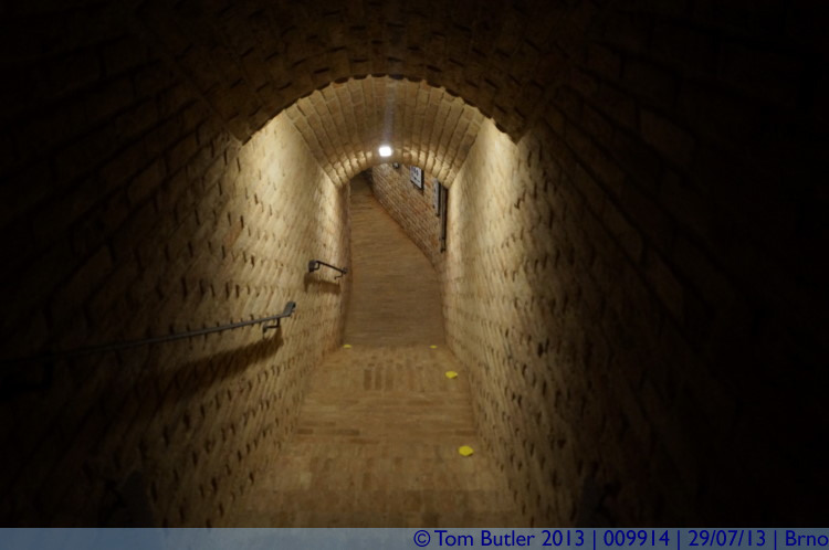 Photo ID: 009914, Descending into the Cellar, Brno, Czechia