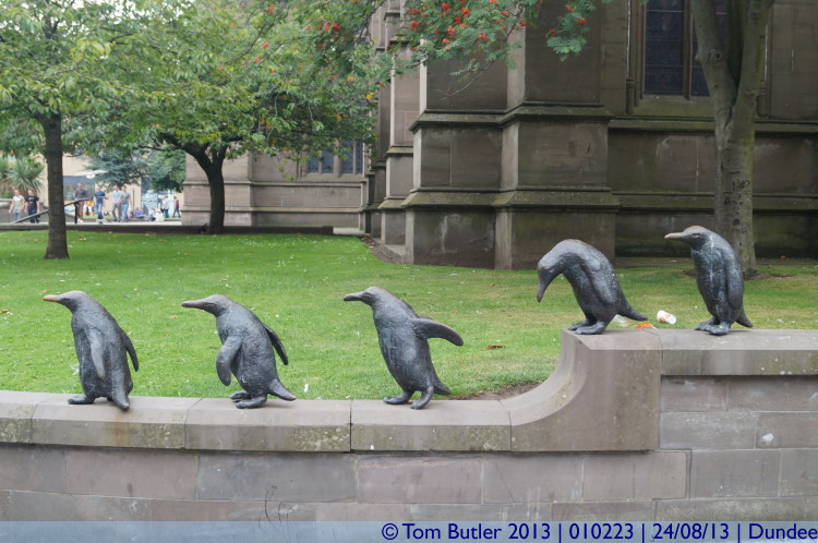 Photo ID: 010223, Yet more penguins, Dundee, Scotland
