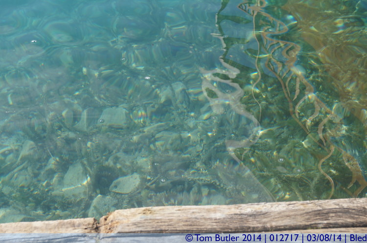 Photo ID: 012717, Crystal clear waters, Bled, Slovenia