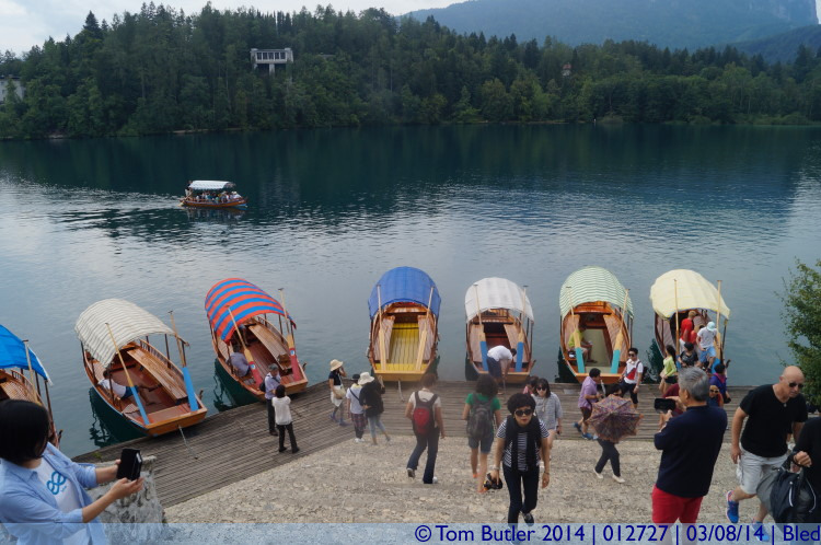 Photo ID: 012727, Rush hour on the lake, Bled, Slovenia