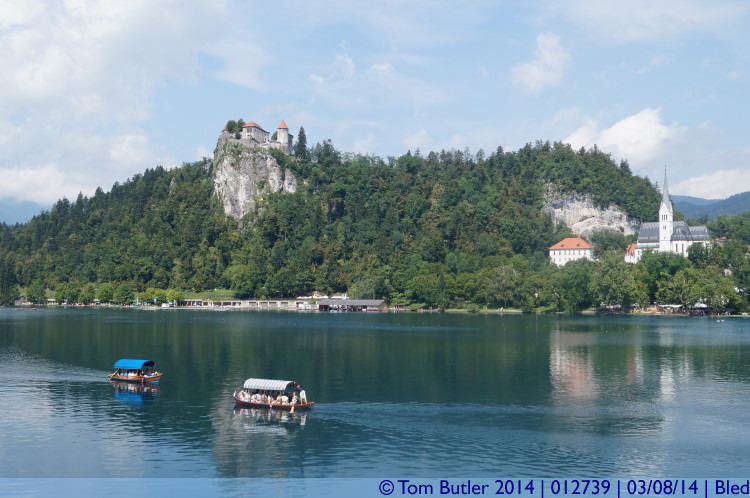 Photo ID: 012739, Lunchtime rush, Bled, Slovenia