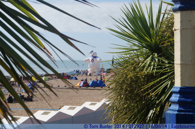 Photo ID: 012927, Looking through the palms to Stay Puft, Eastbourne, England