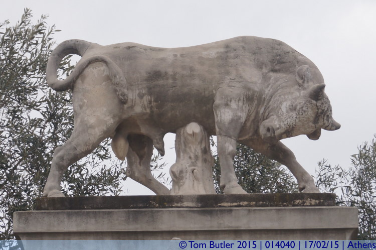 Photo ID: 014040, Bull, Athens, Greece