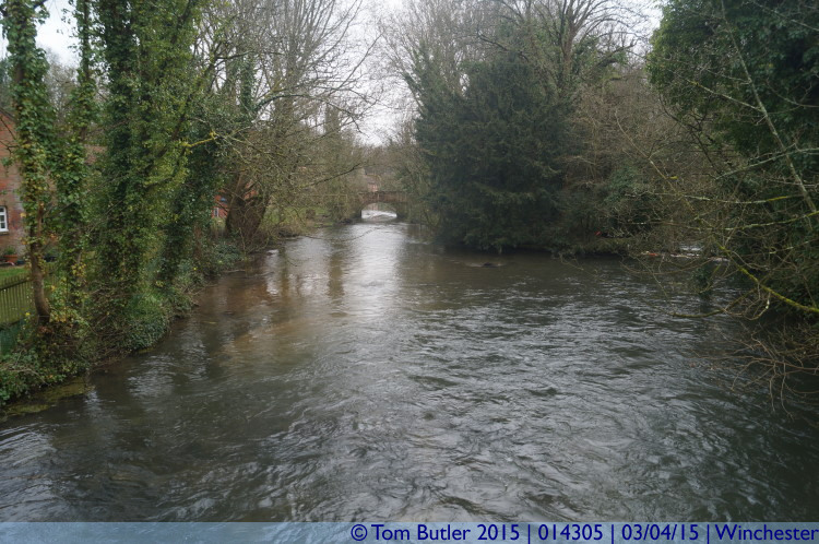 Photo ID: 014305, River Itchen, Winchester, England