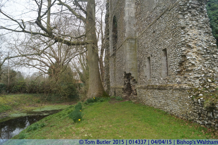 Photo ID: 014337, Moat and tower, Bishop's Waltham, England