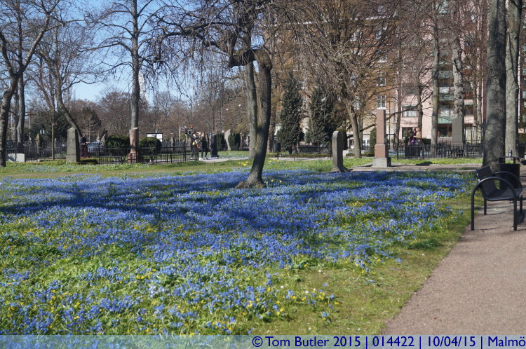 Photo ID: 014422, Spring in Malm, Malm, Sweden
