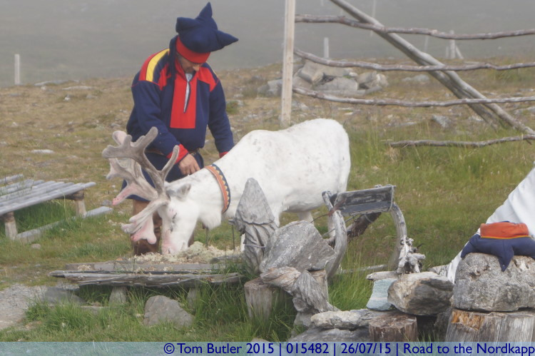Photo ID: 015482, A herdsman and his Reindeer, Road to the Nordkapp, Norway