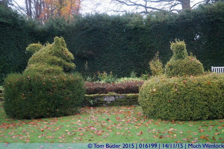 Photo ID: 016199, Animal topiary, Much Wenlock, England