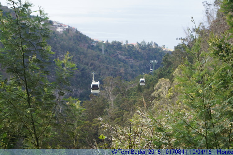 Photo ID: 017084, Botanical Gardens Cable Car, Monte, Portugal