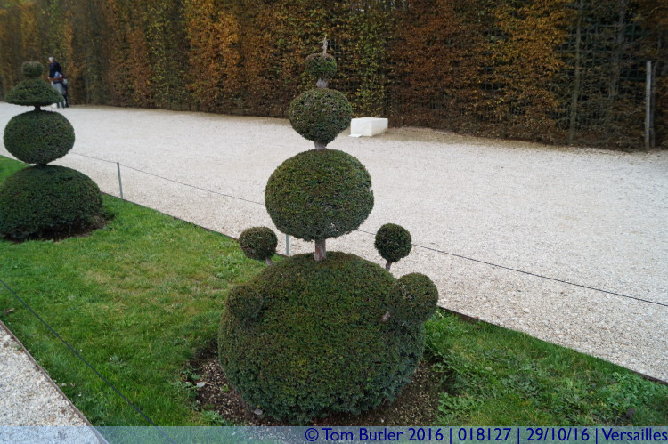 Photo ID: 018127, Topiary, Versailles, France