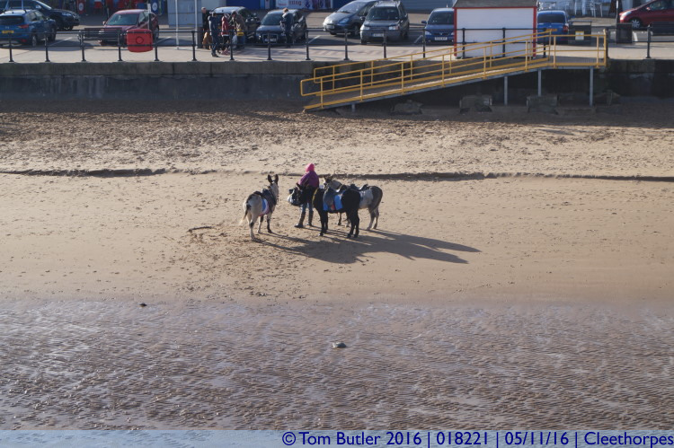 Photo ID: 018221, Donkeys on the beach, Cleethorpes, England