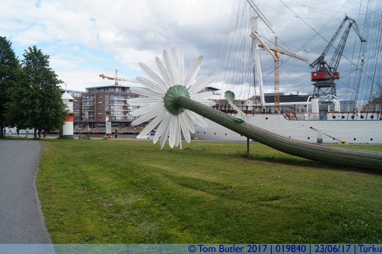 Photo ID: 019840, Daisy and ship, Turku, Finland