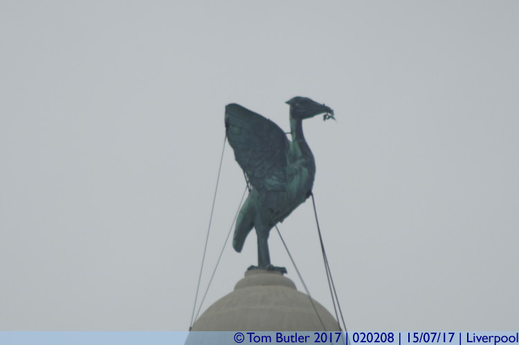Photo ID: 020208, A Liver Bird, Liverpool, England