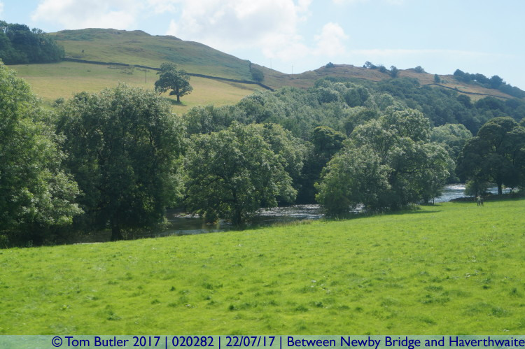 Photo ID: 020282, By the river, Between Newby Bridge and Haverthwaite, England