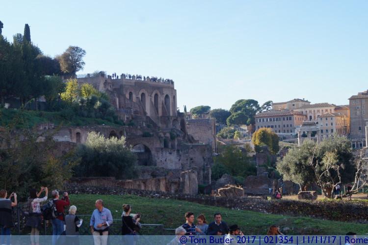 Photo ID: 021354, Forum and Palatine Hill, Rome, Italy