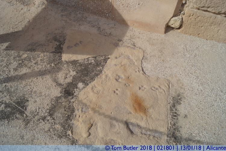 Photo ID: 021801, Dog and human footprints, Alicante, Spain