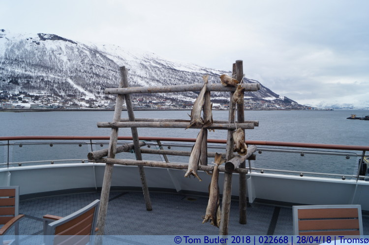 Photo ID: 022668, Stockfish on the MS Spitsbergen, Troms, Norway