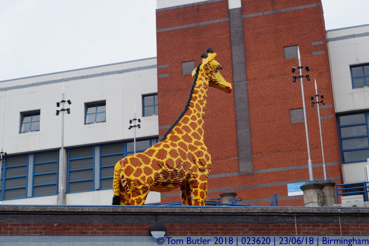 Photo ID: 023620, Lego Giraffe, Birmingham, England