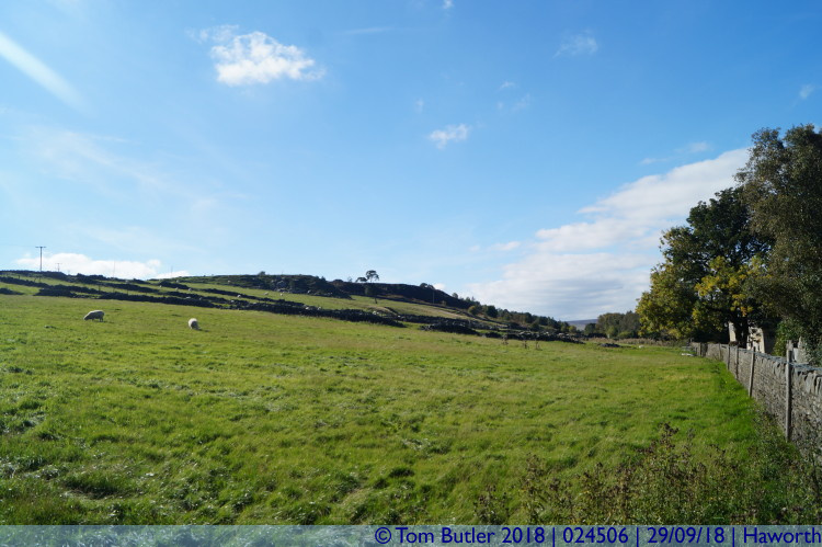 Photo ID: 024506, The Parsonage field, Haworth, England