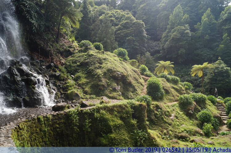 Photo ID: 026542, Waterfall and vegetation, Achada, Portugal