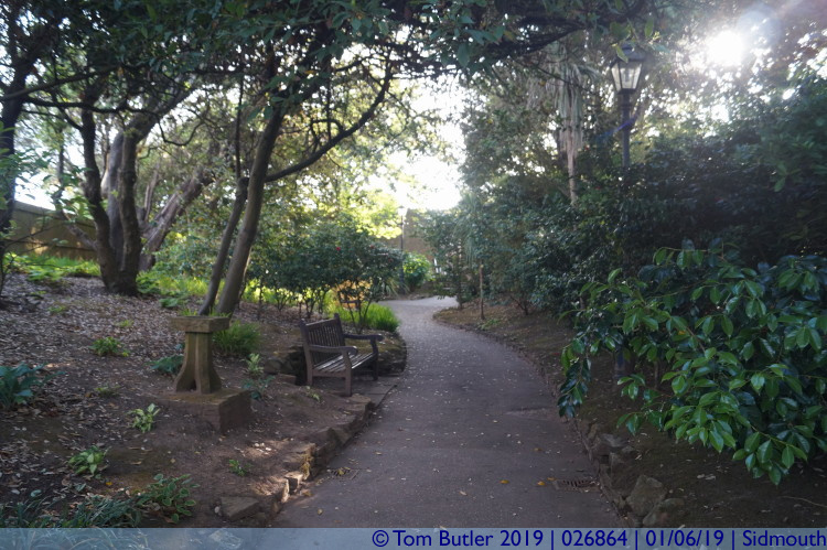 Photo ID: 026864, In the jungle gardens, Sidmouth, Devon