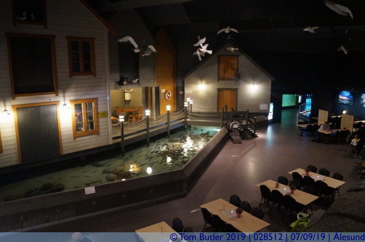 Photo ID: 028512, Inside the aquarium, lesund, Norway