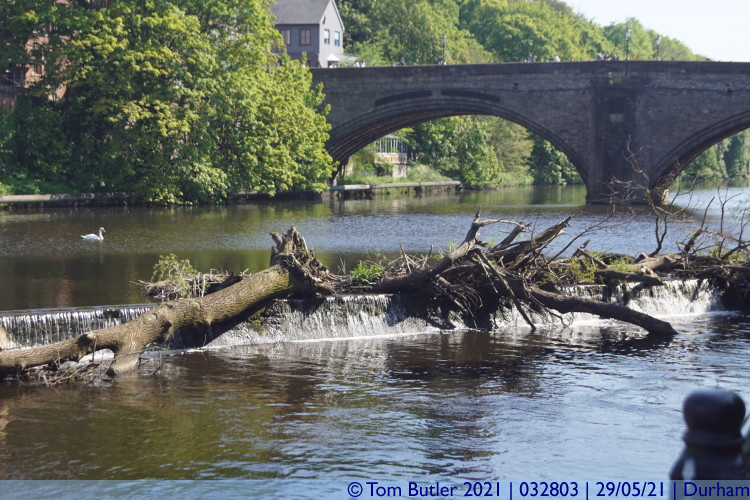Photo ID: 032803, Trunks caught on the weir, Durham, England
