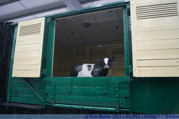 Photo ID: 032952, Cattle class, Shildon, England