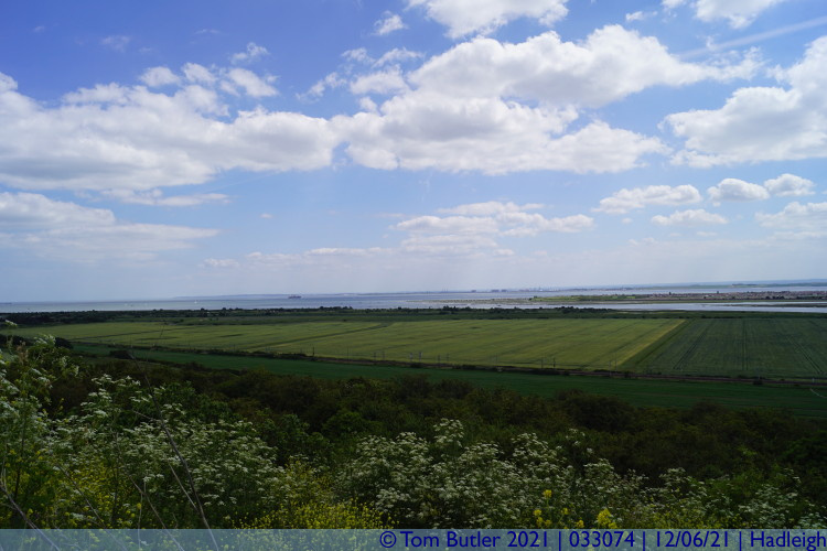 Photo ID: 033074, Essex Marshes and the tip of Canvey, Hadleigh, England