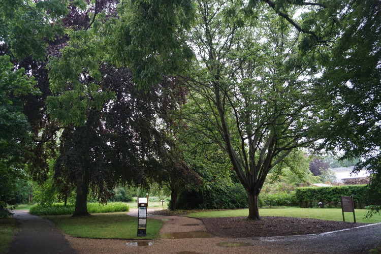 Photo ID: 033141, Entering the Botanic Gardens, Cambridge, England