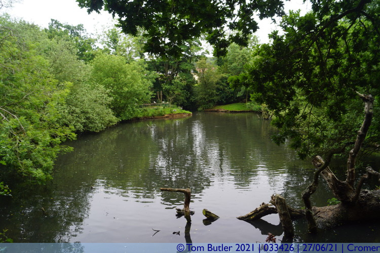 Photo ID: 033426, The zoo lake, Cromer, England