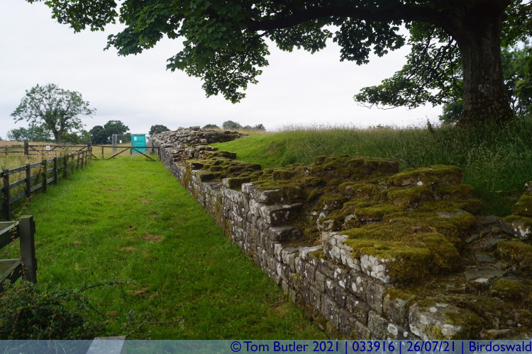 Photo ID: 033916, Outer wall of the fort, Birdoswald, England