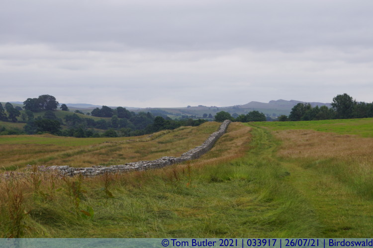 Photo ID: 033917, Hadrian's Wall disappearing into the distance, Birdoswald, England